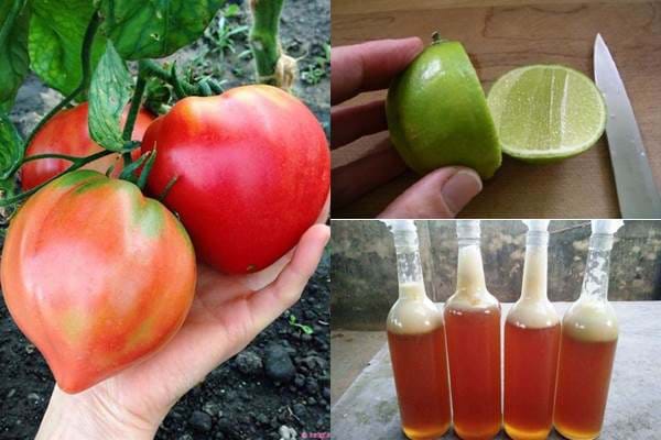 Nguyên liệu rẻ tiền, đơn giản lại dễ kiếm.