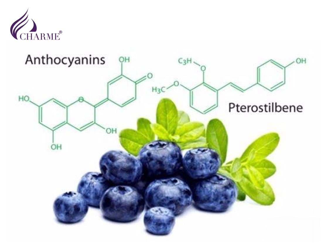 Quả việt quất (Blueberry) có tác dụng gì và sử dụng như thế nào là tốt nhất?